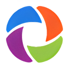 Risk & Safety Solutions logo