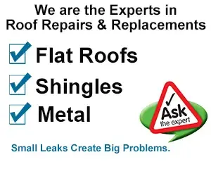 New Port Richey Roofing backdrop