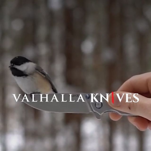 Valhalla Combat-logo