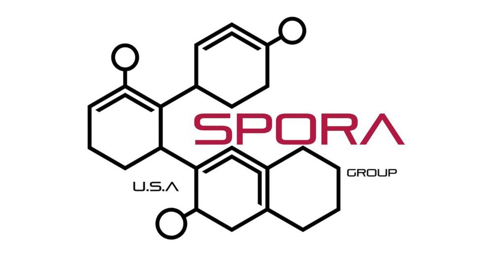 Spora Mold Remediation - New Port Richey backdrop