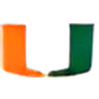 University of Miami logo