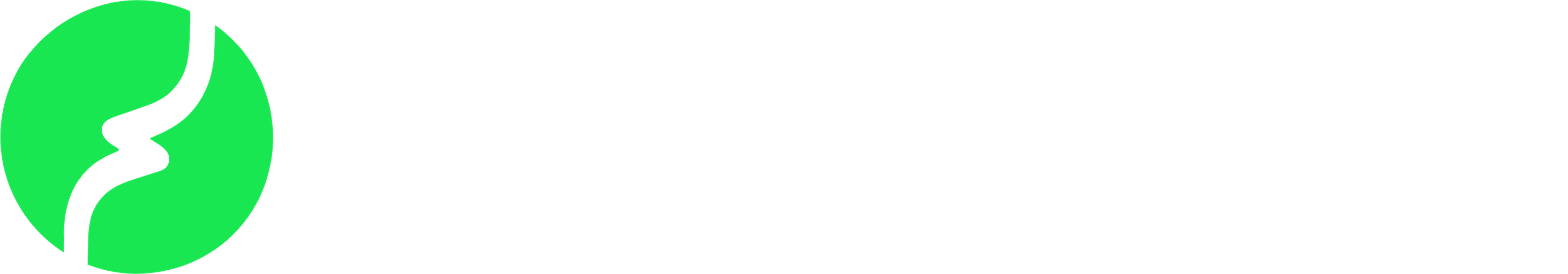 light logo