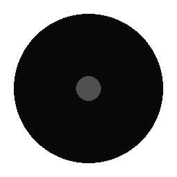 light logo