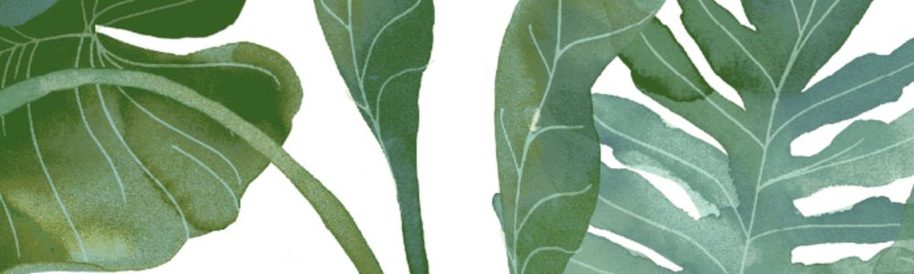 Tommy Bahama banner