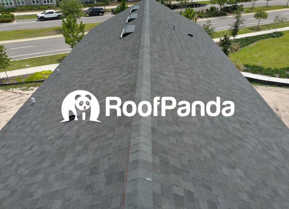 Roof Panda backdrop