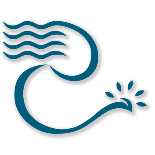 Women's Foundation logo