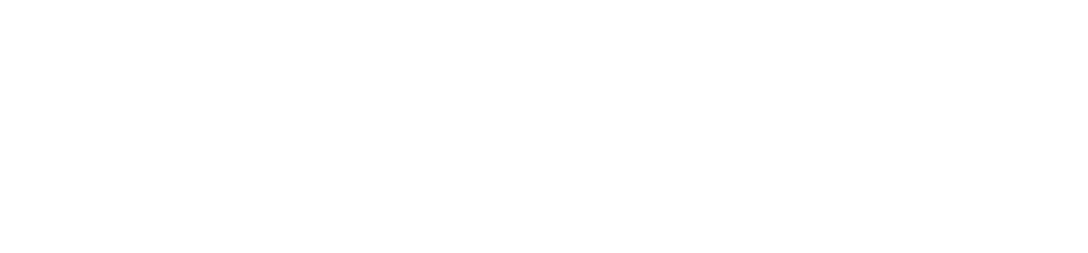 light logo