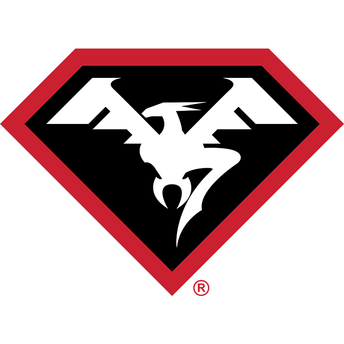 Doublestar-logo