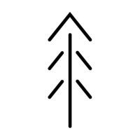 Pineland Capital Partners logo
