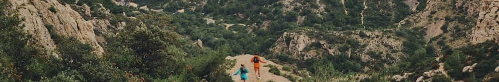 The North Face brand banner