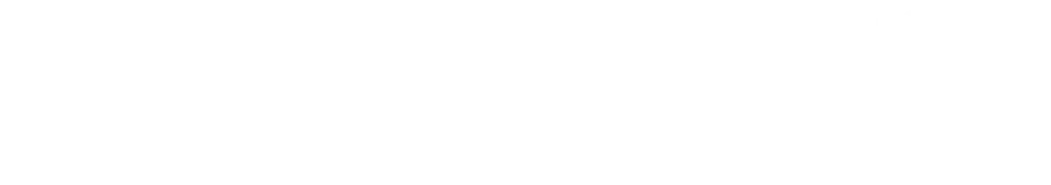 Tranzip banner