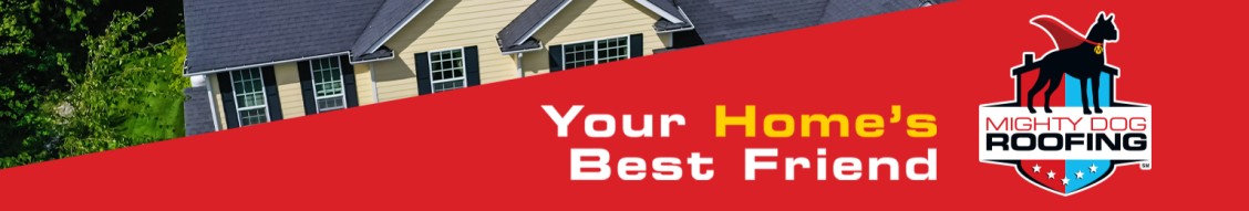 Mighty Dog Roofing of St.Pete/Clearwater backdrop