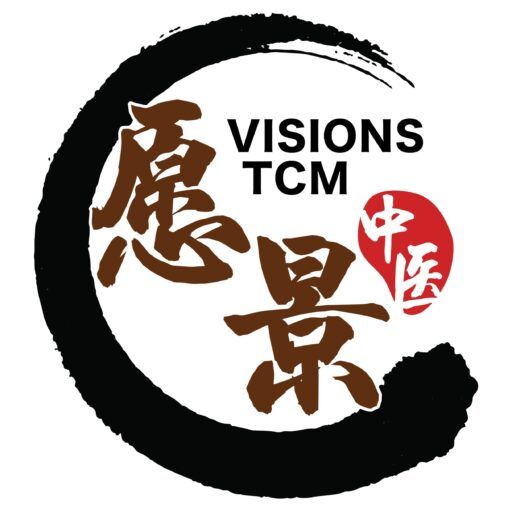 Visions Case Management logo