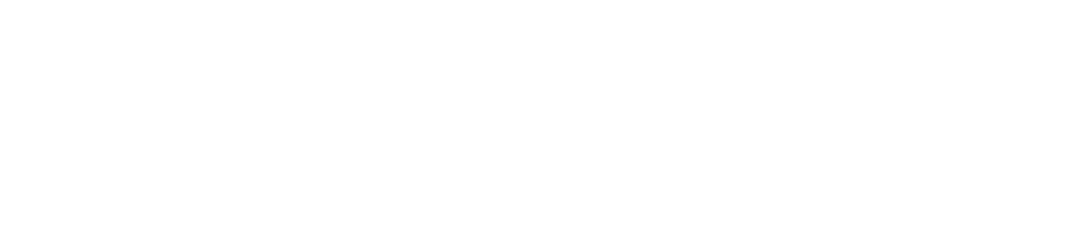 light logo