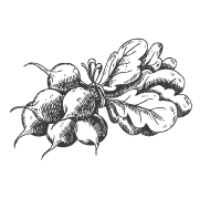 Atlantic Roofing Services logo