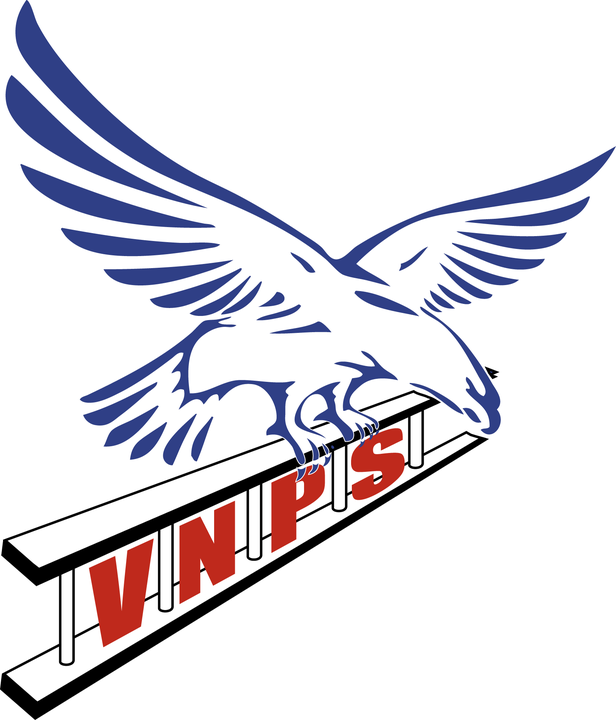 VNPS Roofing logo