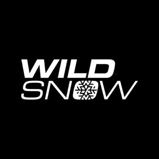 Logo WildSnow