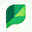 Sprout Social logo