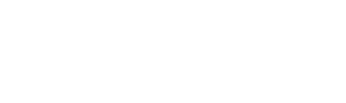 Dalstrong-logo