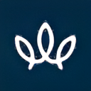 Fourteen Foods logo