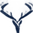 Blue Deer Capital logo