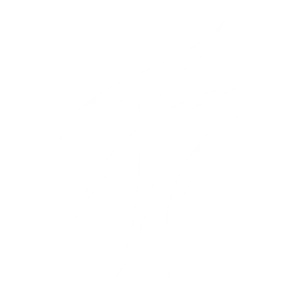 Fellowship-logo